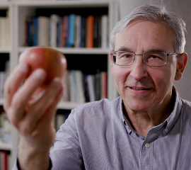 Carlos Frenk   Apple